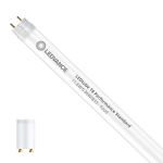 Ledvance LED Buis T8 Performance (EM/Mains) Standard Output 11.6W 1100lm - 833 Food | 120cm - Vervangt 36W